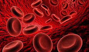 Thiếu máu: Nguyên nhân, triệu chứng lâm sàng và cách điều trị